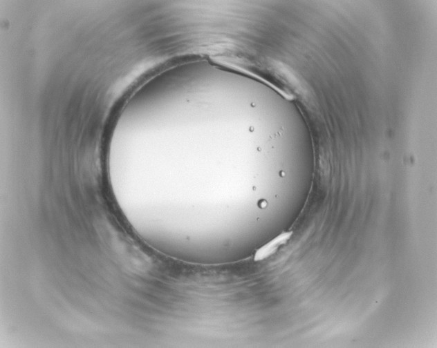 X0000088150532200705291425