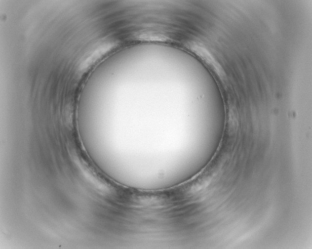 X0000088150533200705291425