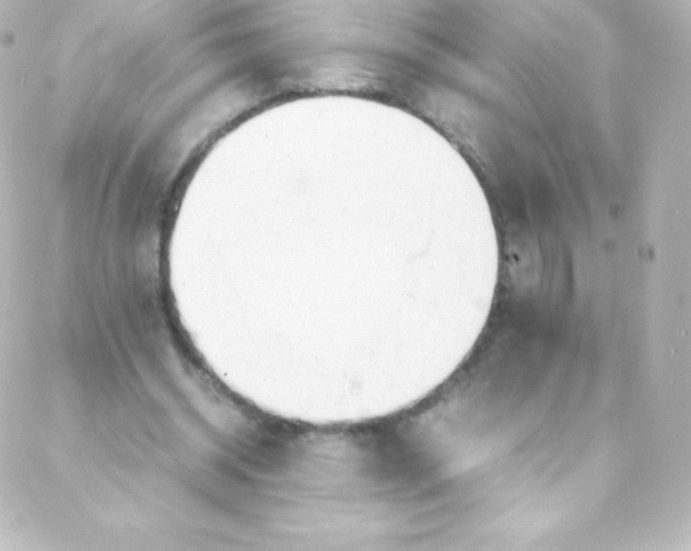 X0000088150534200705291425