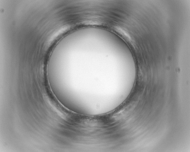 X0000088150535200705291425