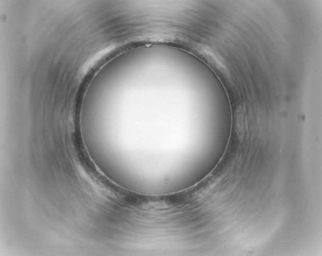 X0000088150536200705291425