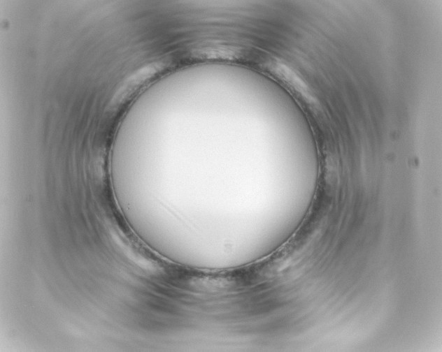 X0000088150537200705291425