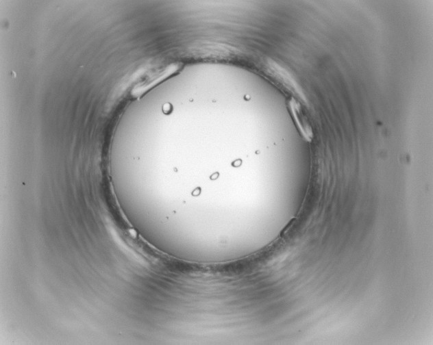 X0000088150538200705291425