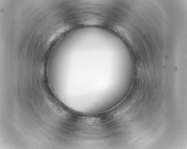 X0000088150539200705291425