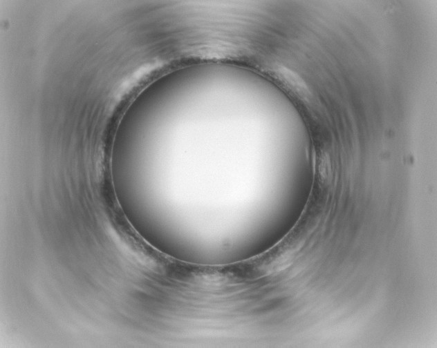 X0000088150540200705291425