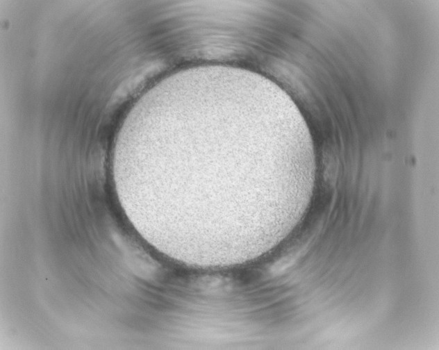 X0000088150542200705291425