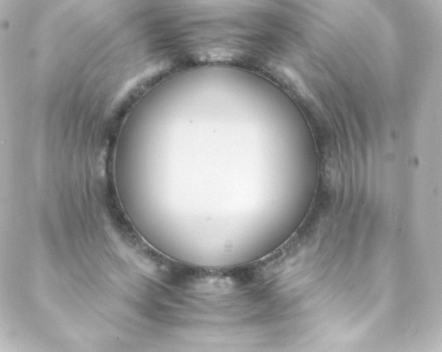 X0000088150543200705291425