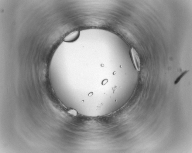 X0000088150544200705291425