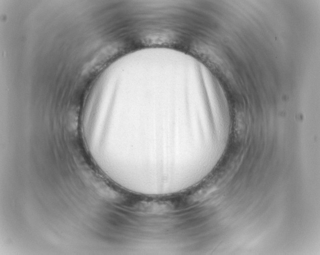 X0000088150545200705291425