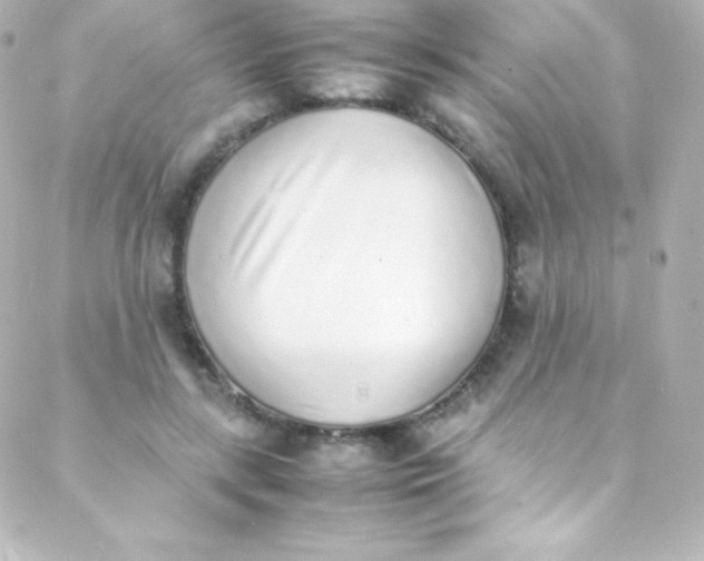 X0000088150547200705291425