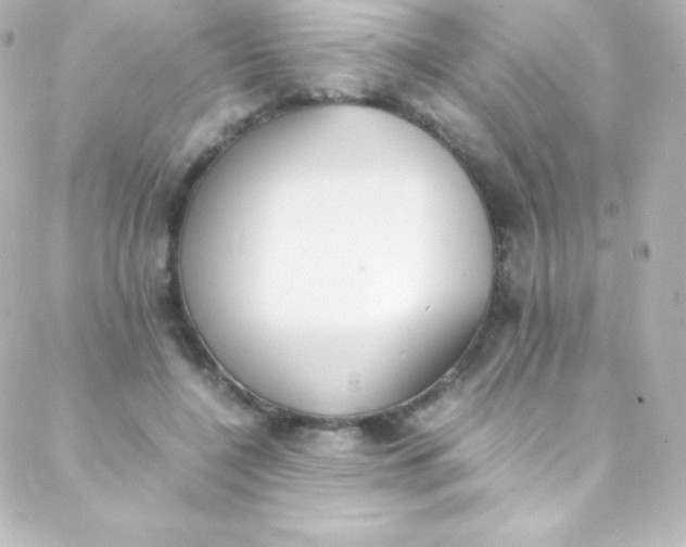 X0000088150548200705291425