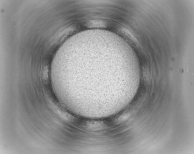 X0000088150549200705291425