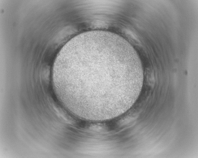 X0000088150550200705291425