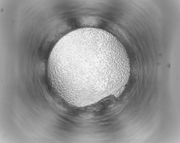 X0000088150551200705291425