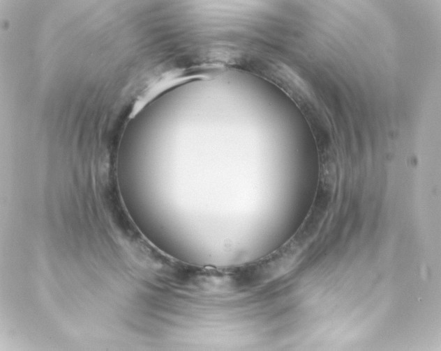 X0000088150552200705291425