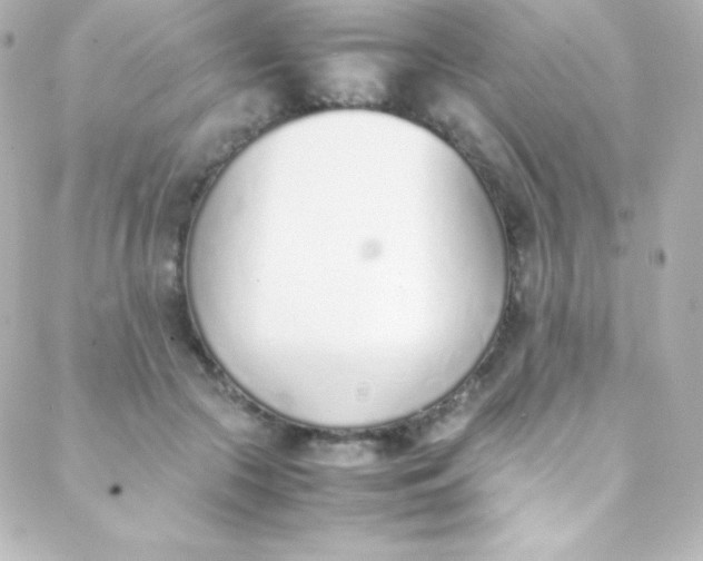 X0000088150553200705291425