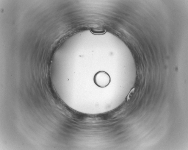 X0000088150556200705291425