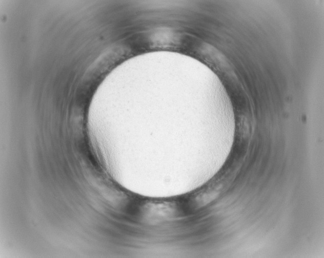 X0000088150557200705291425