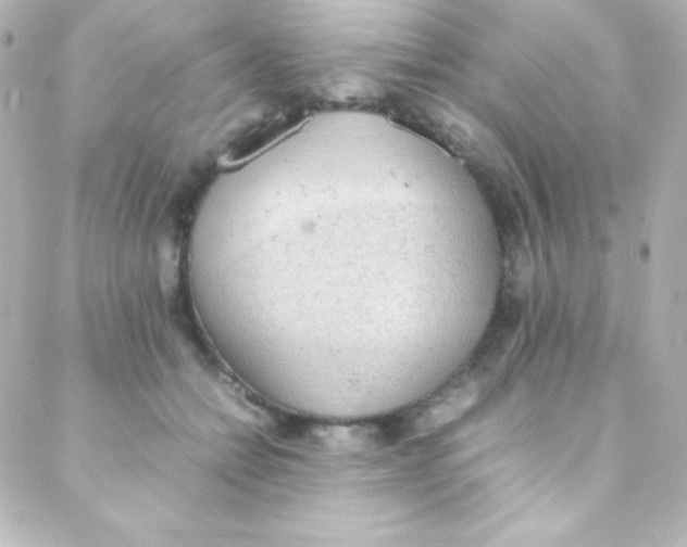 X0000088150558200705291425