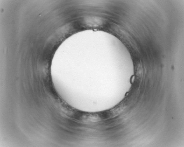 X0000088150559200705291425