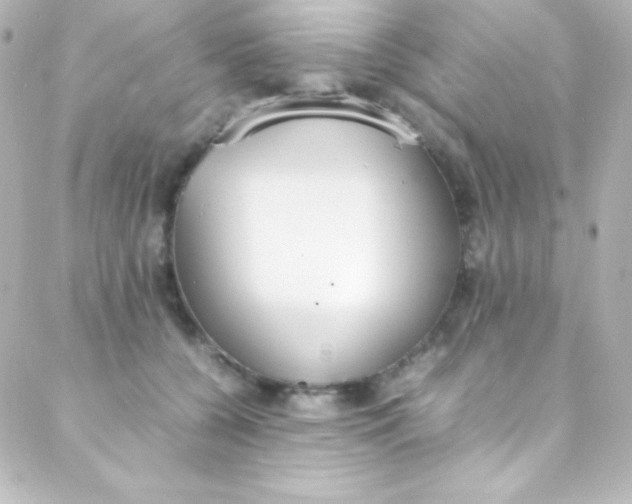 X0000088150560200705291425