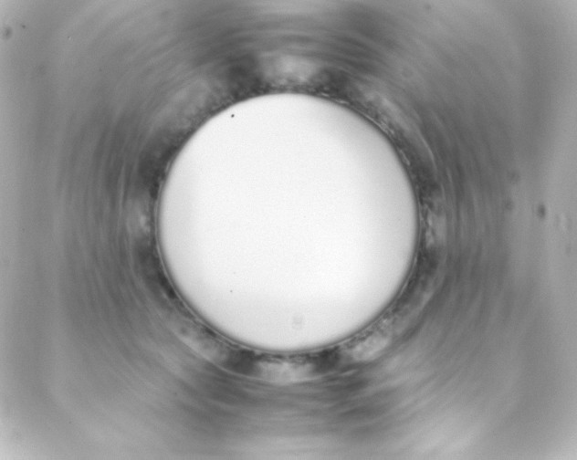 X0000088150561200705291425