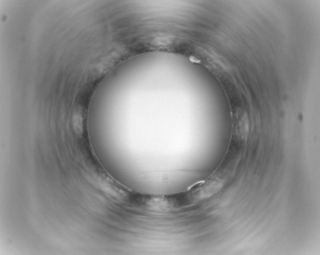 X0000088150562200705291425