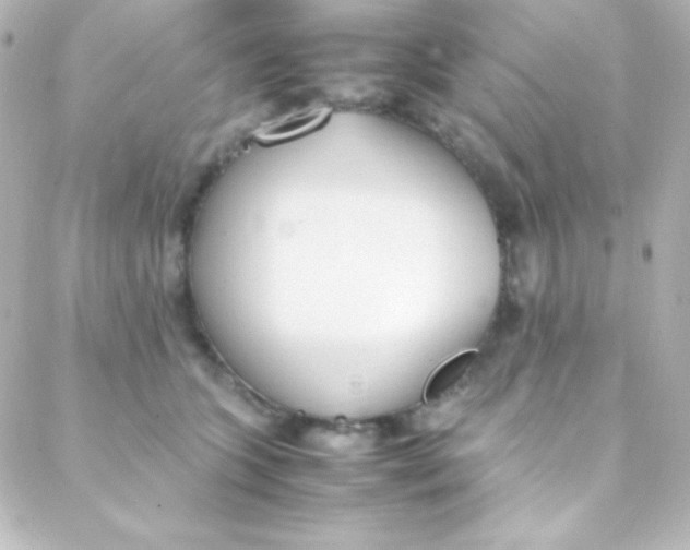 X0000088150563200705291425