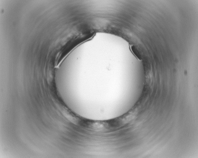 X0000088150566200705291425