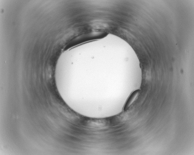 X0000088150567200705291425