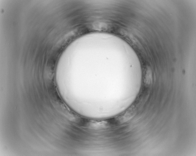 X0000088150569200705291425