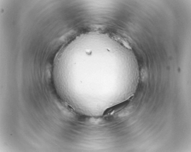 X0000088150570200705291426