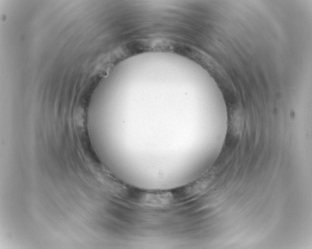 X0000088150571200705291426