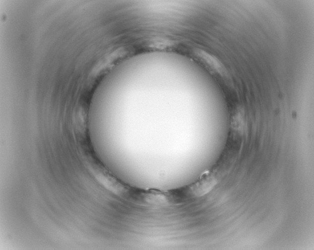 X0000088150572200705291426