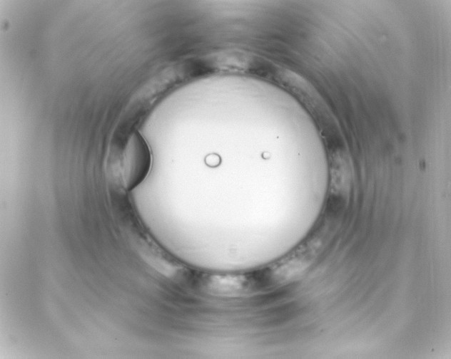 X0000088150573200705291426