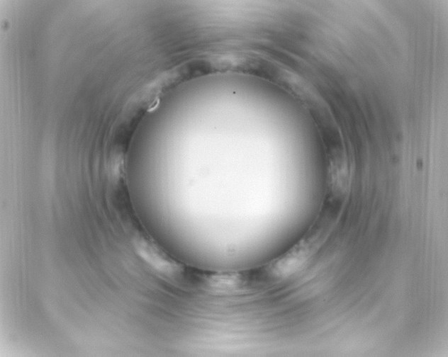 X0000088150574200705291426