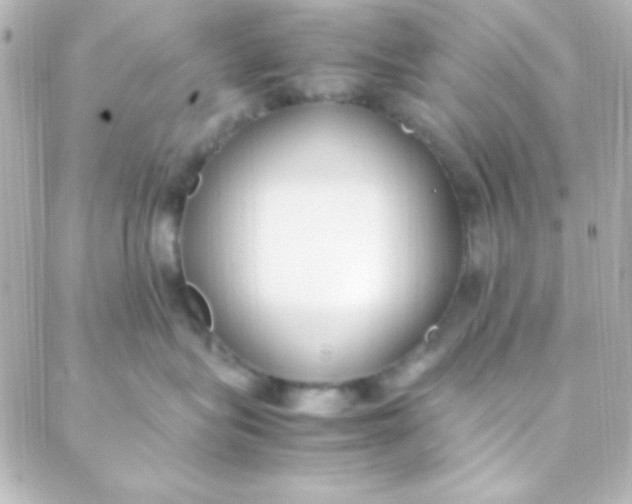 X0000088150575200705291426