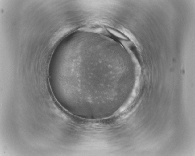 X0000088150577200705291425