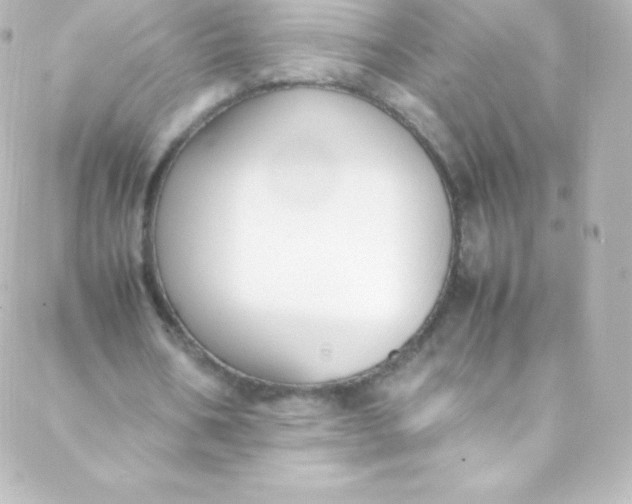 X0000088150578200705291425