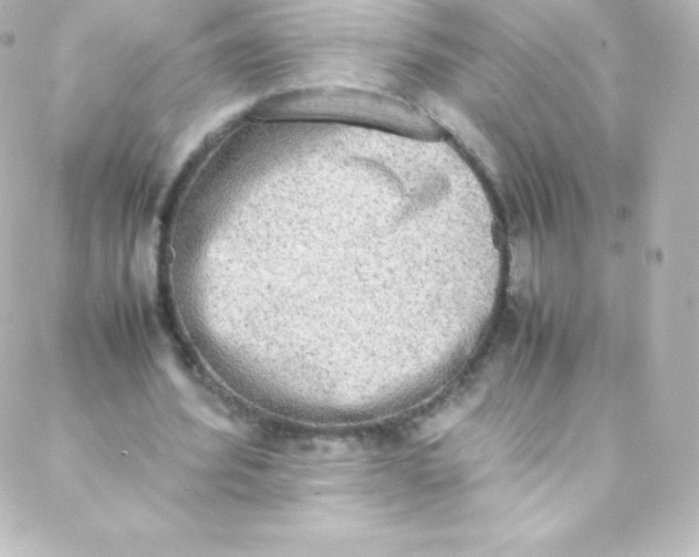 X0000088150580200705291425