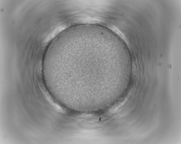 X0000088150581200705291425