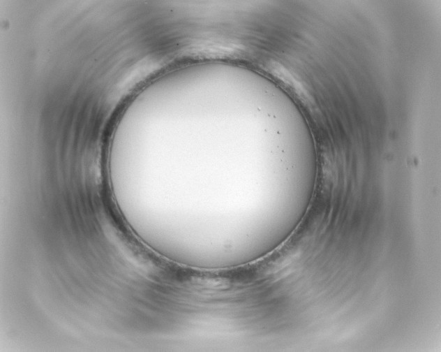 X0000088150582200705291425