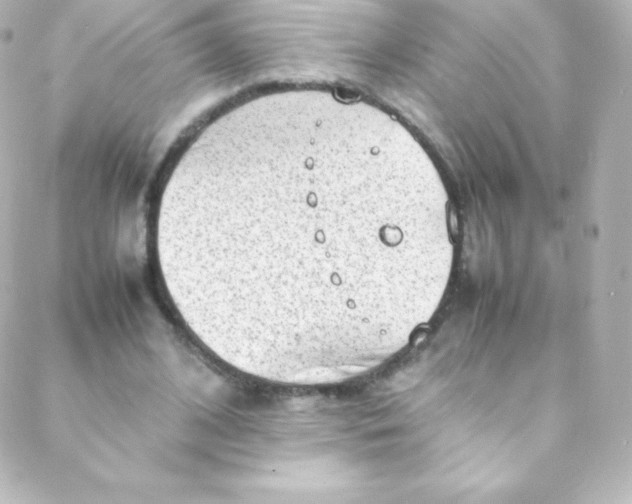 X0000088150584200705291425