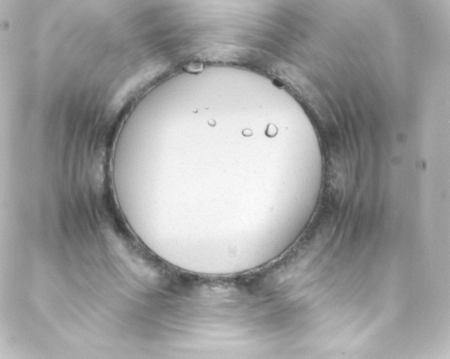 X0000088150586200705291425