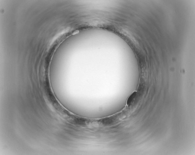 X0000088150587200705291425