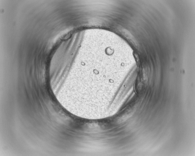 X0000088150588200705291425