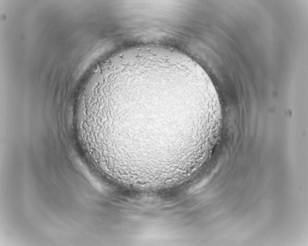 X0000088150589200705291425