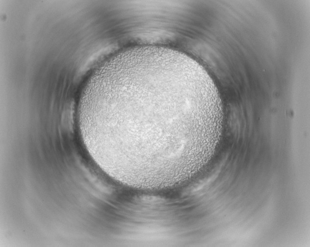 X0000088150590200705291425