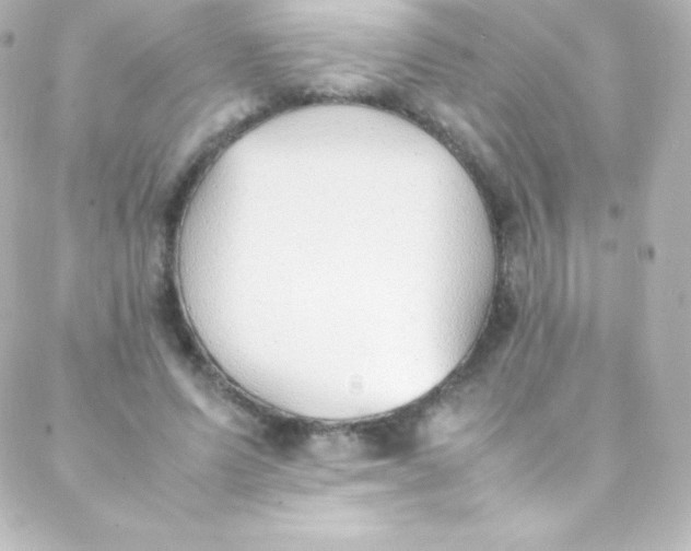 X0000088150591200705291425