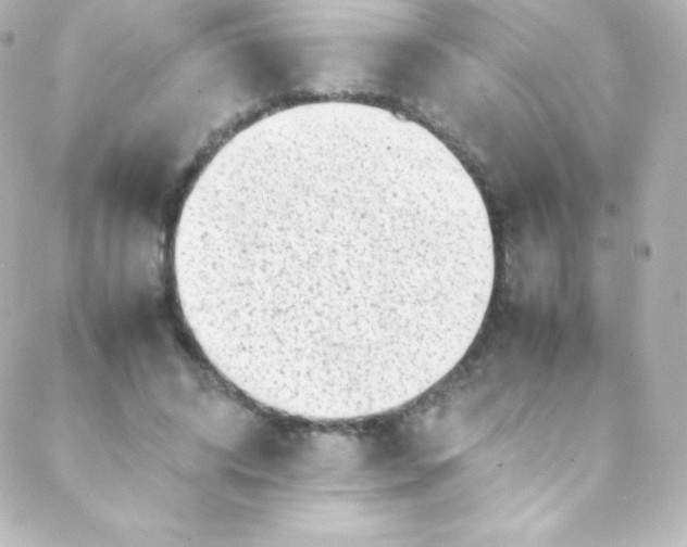 X0000088150592200705291425